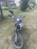 Альфамото Classic, 2010 г.