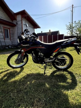 Racer Ranger, 2024 г.
