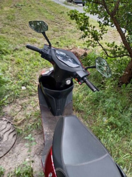 Tsunami Dacha, 2024 г.
