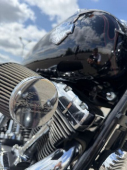 Harley-Davidson Softail fxcwc Roker c, 2008 г.