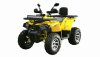 Motoland Wild Track X PRO, 2025 г.