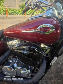 Honda VT, 2009 г.