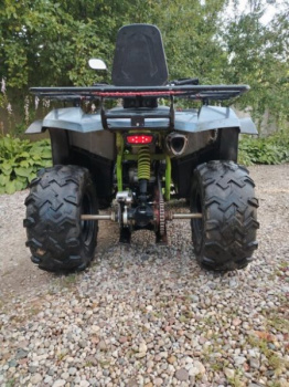 Motoland 200 Wild Track, 2024 г.