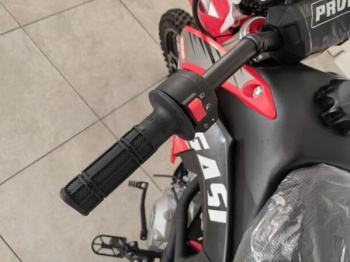 Progasi SMART 125 6 mini, 2026 г.