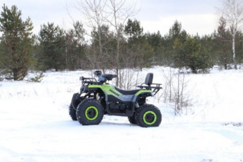 Nitro 200 TaoTao Warrior 200cc, 2023 г.