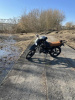 Racer Tiger, 2025 г.