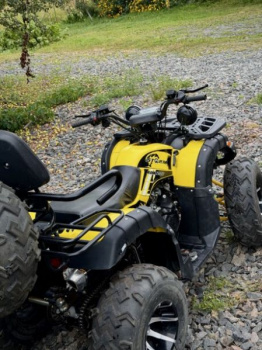 Storm 200 Wild Track Lux, 2025 г.
