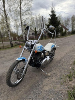 Harley-Davidson Softail Custom, 2008 г.