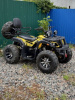 Storm 200 Wild Track Lux, 2025 г.