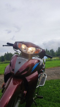 Viper Active, 2008 г.