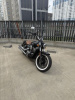 Indian Scout, 2015 г.