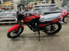 Racer Tiger RC150-23, 2024 г.