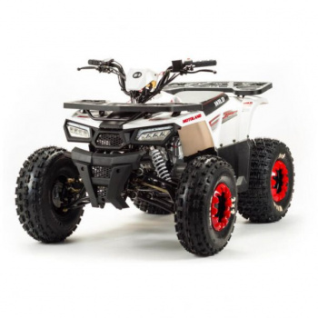 Motoland Wild Basic 125cc, 2023 г.
