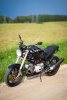 Ducati Monster 600, 2001 г.