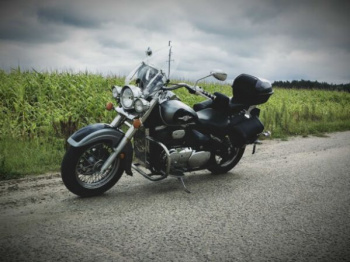 Suzuki Boulevard С50, 2008 г.
