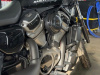 Harley-Davidson Nightster, 2022 г.