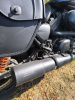 Harley-Davidson Street Rod XG750, 2020 г.
