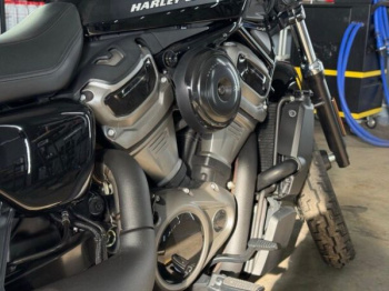 Harley-Davidson Nightster, 2022 г.