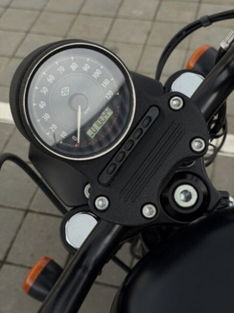 Harley-Davidson Sportster, 2019 г.