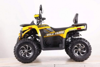 Motoland Wild Track 250 X PLUS, 2026 г.