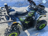 Motoland Wild Track 200 LUX, 2026 г.