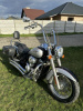 Kawasaki Vulcan, 2007 г.