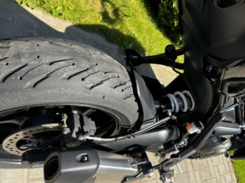Triumph Tiger, 2025 г.