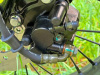 Racer Panther, 2026 г.
