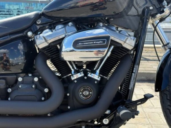 Harley-Davidson Softail Standard, 2023 г.