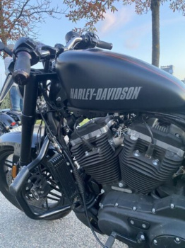 Harley-Davidson Roadster, 2016 г.