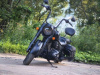 Indian Chief VINTAGE DARK HORSE, 2020 г.