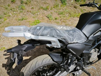 Regulmoto Alien Monster 300, 2025 г.