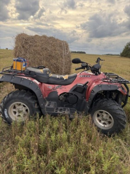 Stels ATV, 2012 г.
