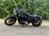 Harley-Davidson Sportster 883, 2019 г.