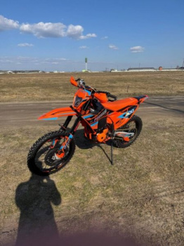 Progasi Endurance 300 EFI, 2025 г.