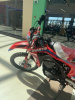 Avantis CRF 250 LUX, 2025 г.