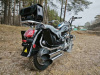 Motoland Wolf 300, 2026 г.