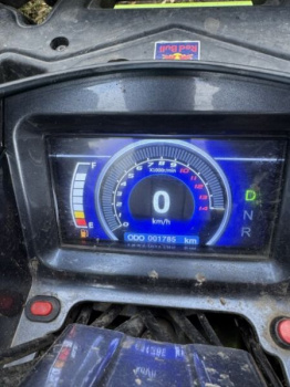 Motoland 200 Wild Track, 2024 г.