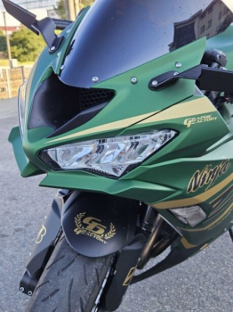 Kawasaki ZX, 2020 г.