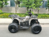 Motax ATV Grizlik T200 LUX, 2023 г.
