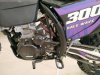 Progasi RACE 300 WAIF, 2026 г.