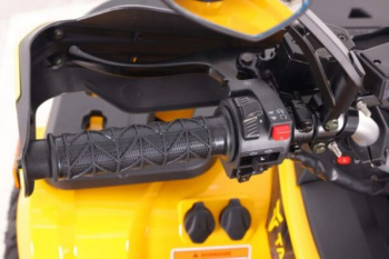Motoland Wild Track 250 X PLUS, 2026 г.
