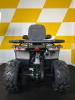 AMOTO Shark 200cc, 2025 г.