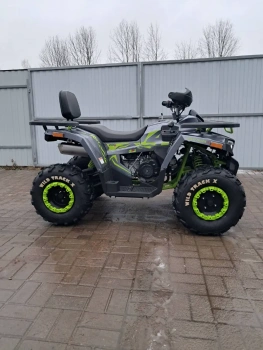 Утилитарный Motoland Wild Track  X 200, 2026 г.