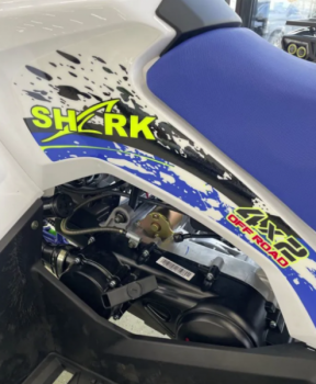 Motoland Shark ATV 200, 2025 г.