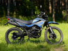 Racer Panther Pro, 2026 г.