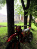 Sanchez Bandit CB300RL, 2026 г.