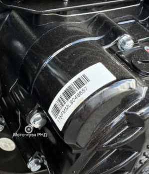 Racer Panther RC300B-F PRO 21, 2026 г.