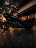 Harley-Davidson Softail Low Rider ST, 2022 г.