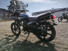 Motoland Forester 200, 2026 г.